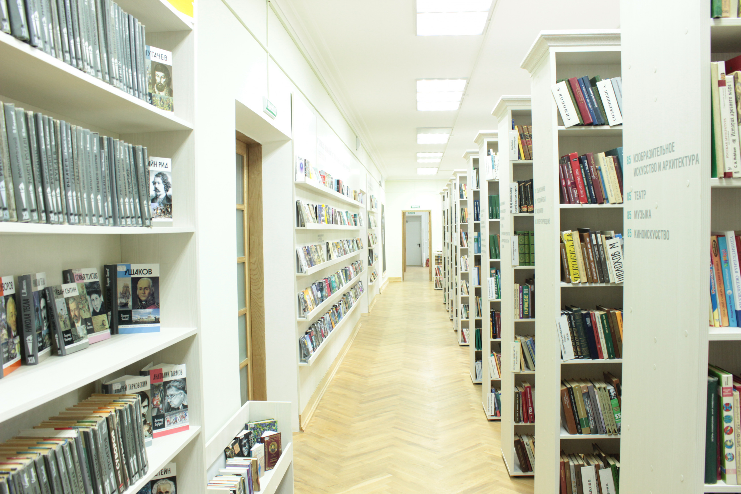 Новая библиотека в москве